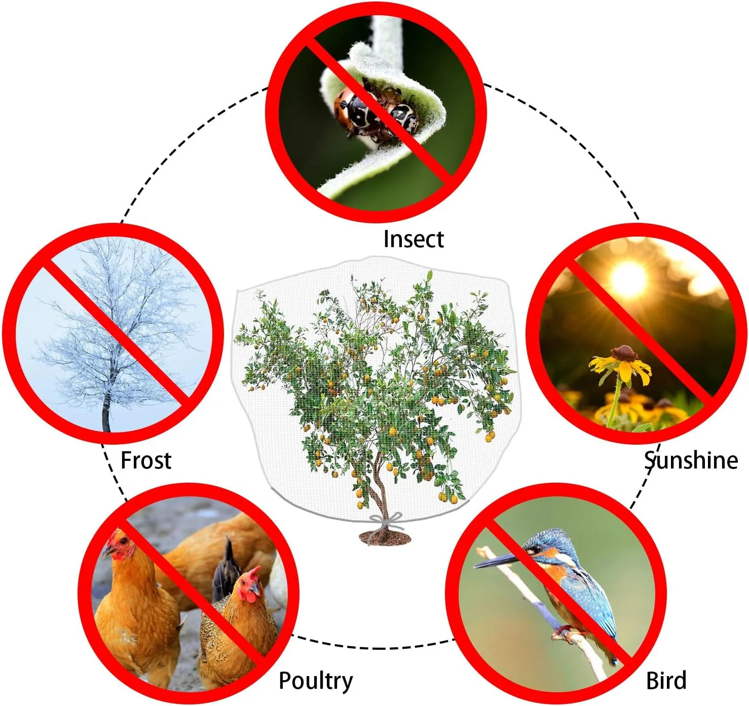 8.2 x 6.5 Feet Large Fruit Tree Netting- Insect Bird Barrier Tree Net with Drawstring- Garden Bird Netting Plant Cover for Protect Plant Fruit Flower from Insect Bird