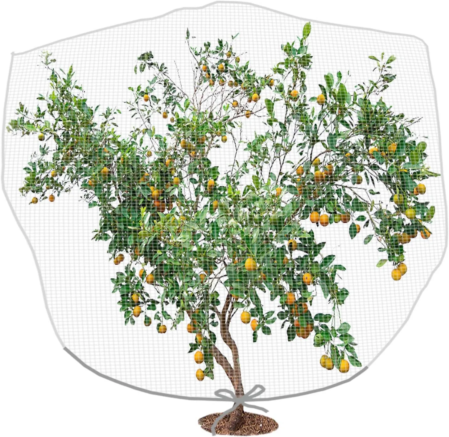 8.2 x 6.5 Feet Large Fruit Tree Netting- Insect Bird Barrier Tree Net with Drawstring- Garden Bird Netting Plant Cover for Protect Plant Fruit Flower from Insect Bird