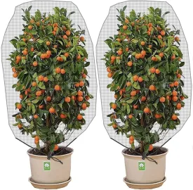Alpurple 2 Pcs Insect Bird Barrier Netting Mesh with Drawstring- 4.9 x 3.2 Ft Garden Bug Netting Plant Cover- Fruit Tree Net for Protect Plant Fruits Citrus Flower from Insect Bird Eating